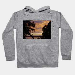 South Carolina Sunset Hoodie